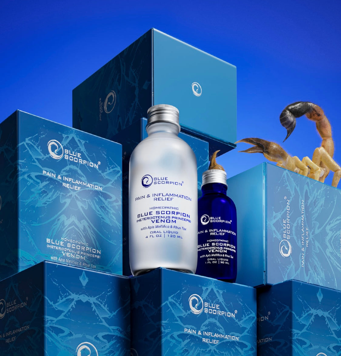 Blue Scorpion Pain & Inflammation Management